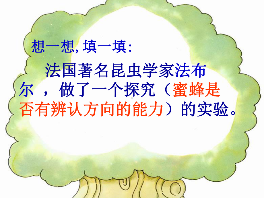 人教版小学三年级下册语文《蜜蜂》教学课件.ppt_第3页