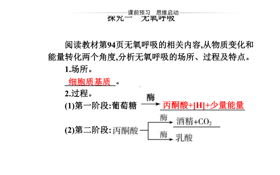 人教版新教材《细胞呼吸的原理和应用》课件1.pptx_第3页