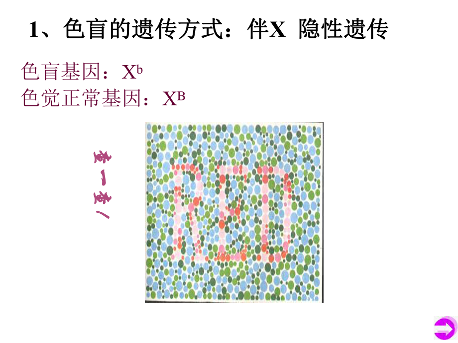 伴性遗传（新教材）人教版高中生物必修二课件.ppt_第3页