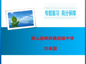 初中化学-专题复习突破-图表题教学课件设计.ppt