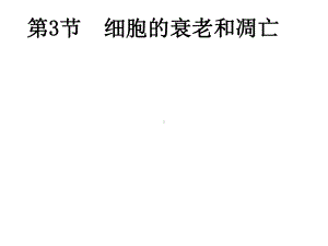 人教版高一生物必修一第六章第三节细胞的衰老和凋亡课件.ppt