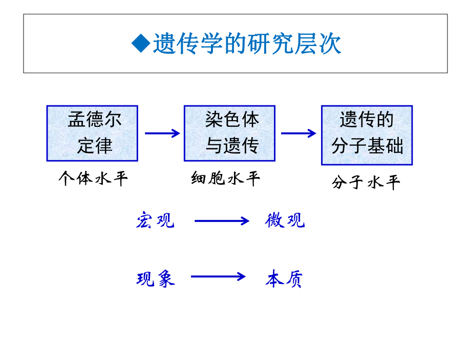 二轮专题复习案例复习建议课件.ppt_第2页