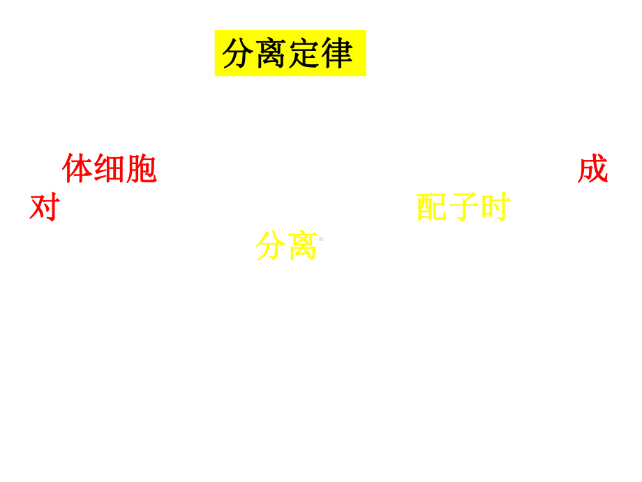 人教版新教材《孟德尔的豌豆杂交实验(二)》课件2.ppt_第2页