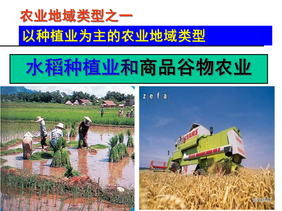 以种植业为主的农业地域类型公开课优质课件.ppt_第2页