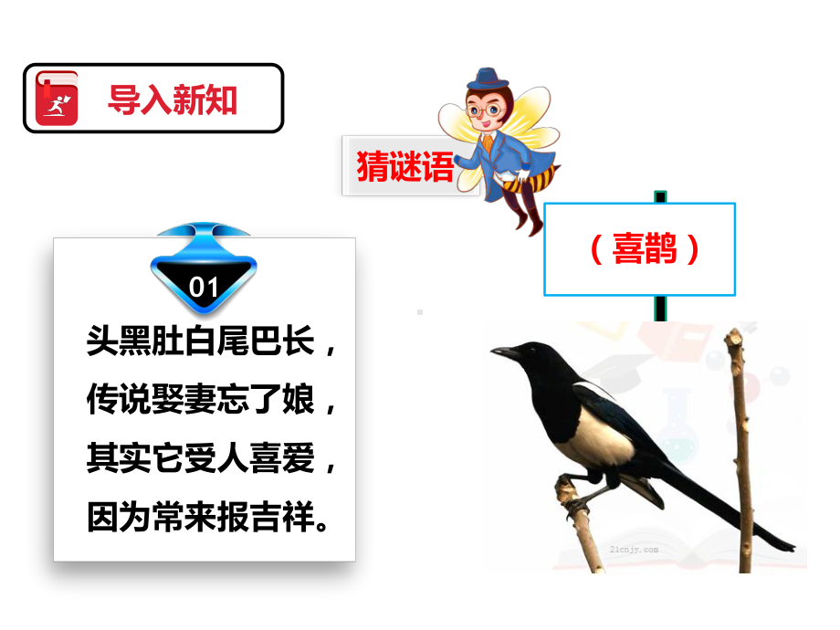 人教版部编版二年级语文下册第九课-枫树上的喜鹊(课件)课件.ppt_第3页