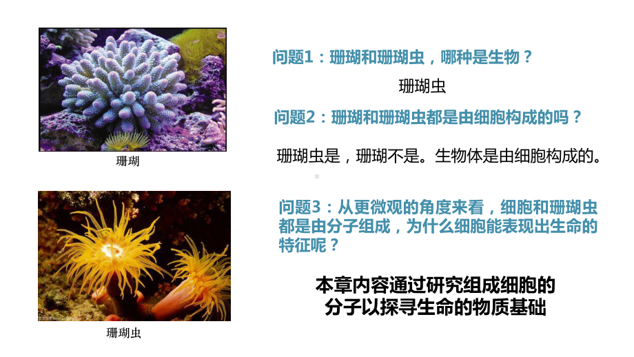 人教版高中生物必修一第一节细胞中的元素和化合物课件.pptx_第2页