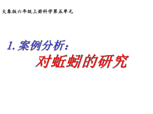 六年级科学上册51《案例分析对蚯蚓的研究》课件1大象.ppt