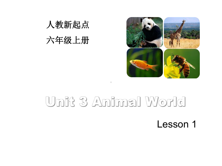 六年级英语上册Unit3AnimalWorldLesson1课件人教新起.ppt--（课件中不含音视频）_第1页