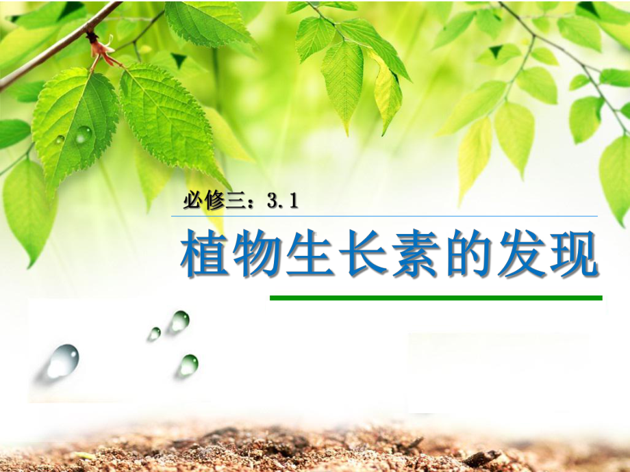 人教版高中生物必修三第3章第1节--植物生长素的发现-课件(共26张).ppt_第1页