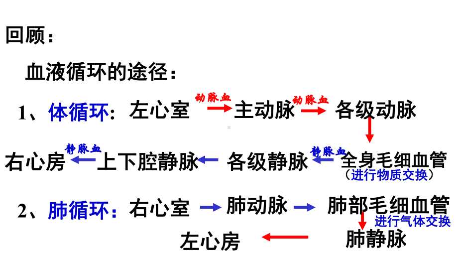 九年级科学上册43体内物质的运输(第4课时)血型和输血课件.ppt_第2页