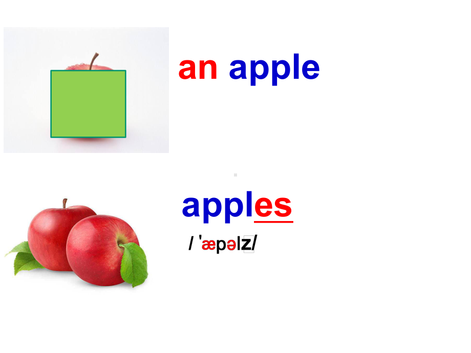 初中英语-人教七年级上册-Unit6-SectionA-1a-2d-课件.ppt--（课件中不含音视频）_第3页