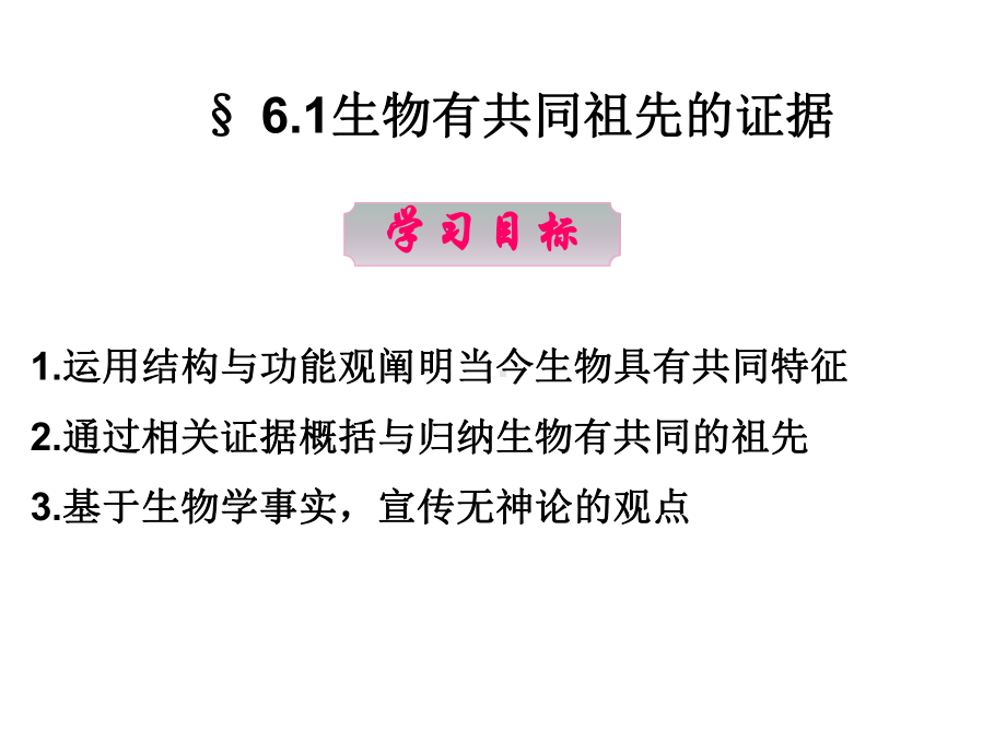 人教版新教材《生物有共同祖先的证据》课件1.pptx_第2页