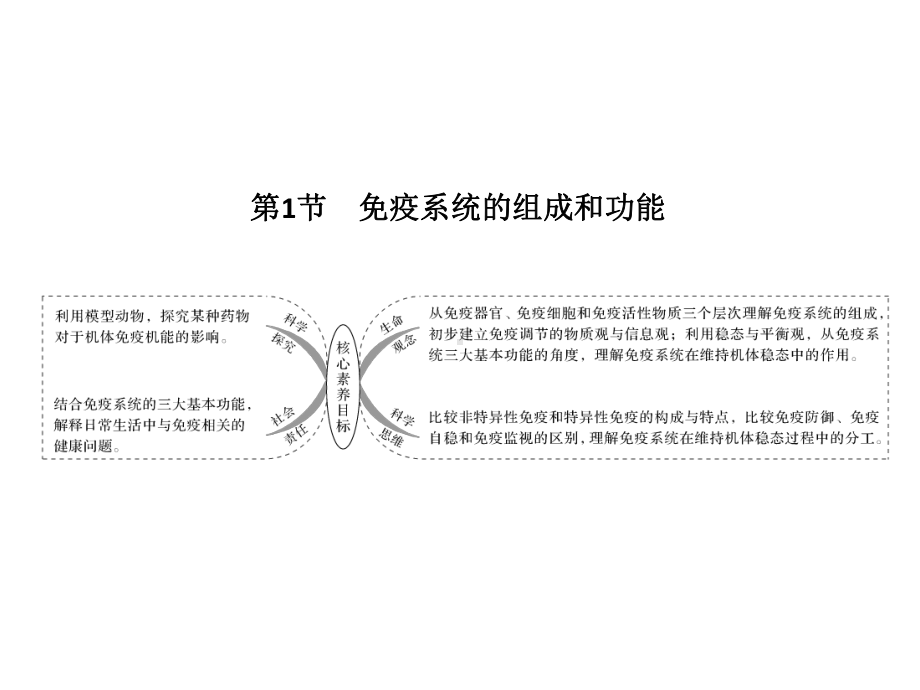 免疫系统的组成和功能课件.ppt_第2页