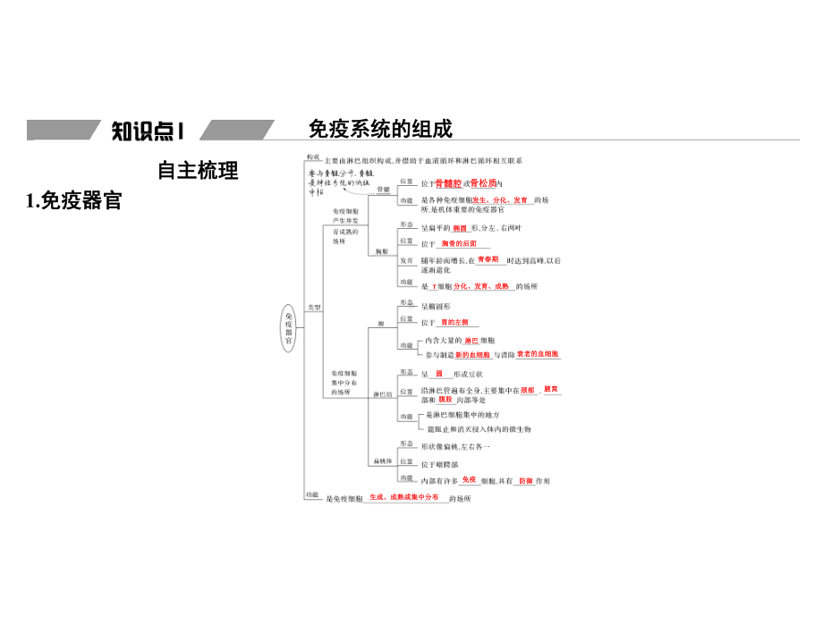 免疫系统的组成和功能课件.ppt_第3页