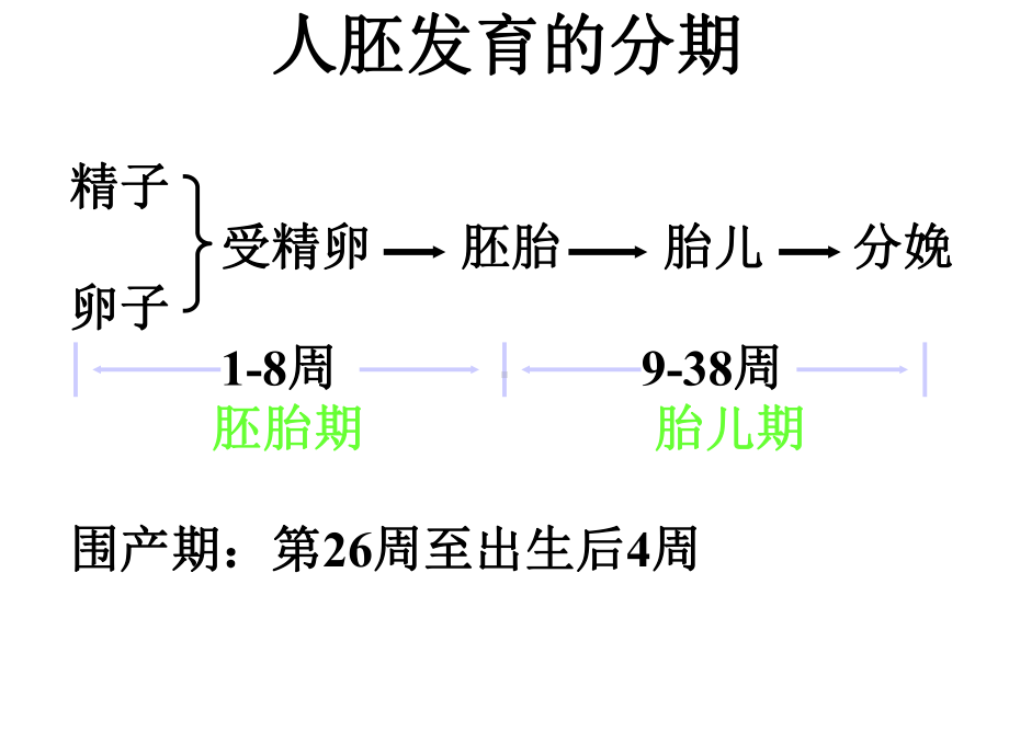 人体胚胎学总论课件(共89张).ppt_第2页