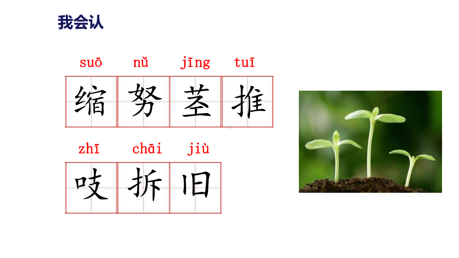 人教版(部编版)三年级语文上册9《那一定会很好》课件-(共20张).pptx_第3页