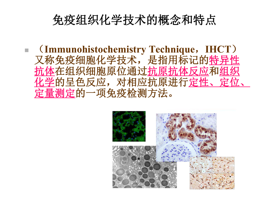 临床免疫学检验-课件-第12章-免疫组织化学技术.ppt_第2页