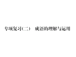 九年级语文上册专项复习二词语的理解与运用习题课件新人教版.ppt