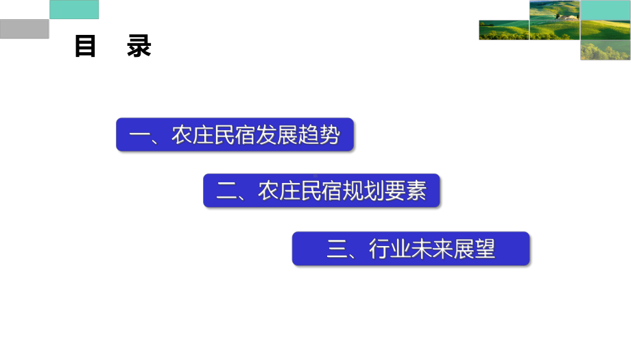 农庄民宿发展新趋势与规划重点课件.ppt_第2页