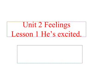 五年级英语上册Unit2Lesson1He’sexcited课件鲁科版.ppt--（课件中不含音视频）