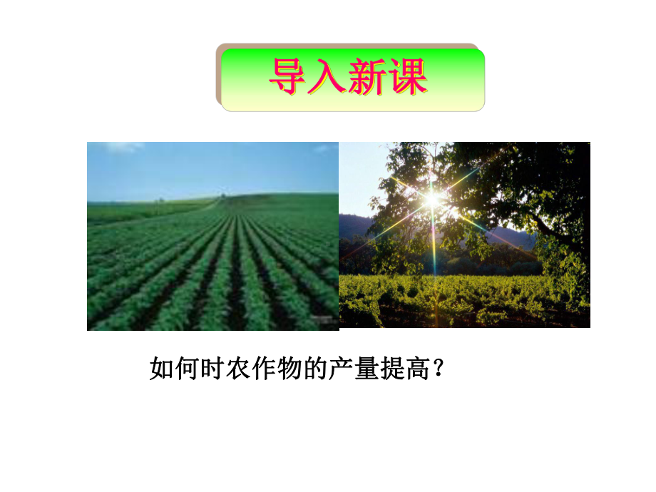 化肥和农药-课件.ppt_第2页