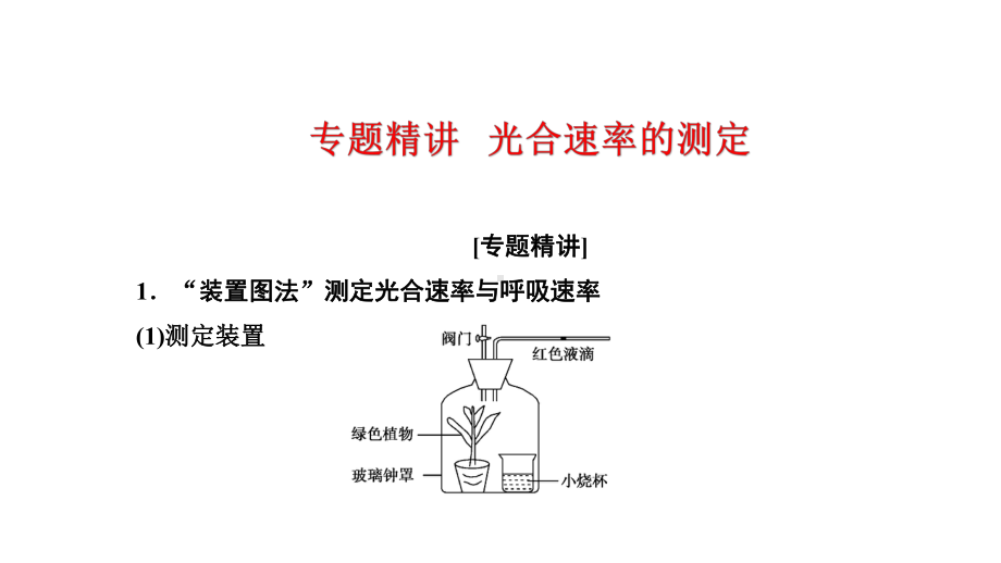 人教版高考生物复习专题精讲《光合速率的测定》课件(共56张).pptx_第1页