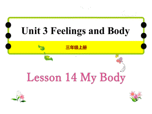 冀教版三年级英语上册Lesson-14-My-Body课件.pptx--（课件中不含音视频）