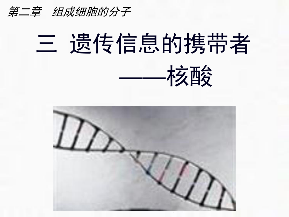 人教版生物必修一23《核酸》课件(共25张).ppt_第1页