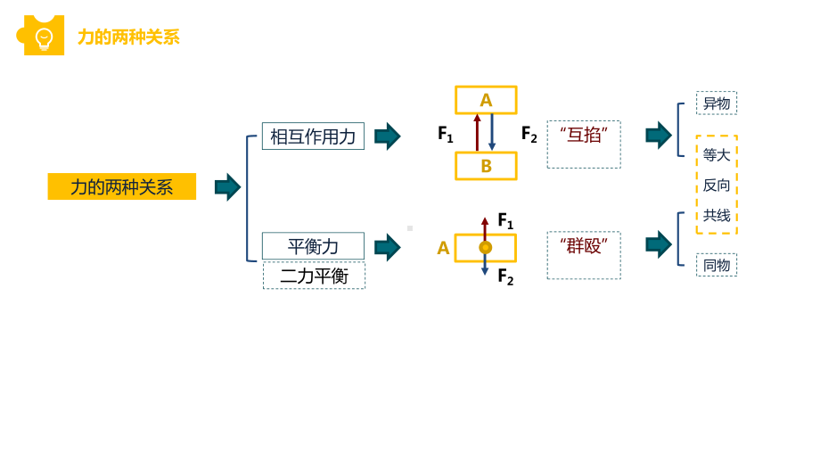 中考物理总复习-区分相互作用力与平衡力--课件(共19张).pptx_第2页