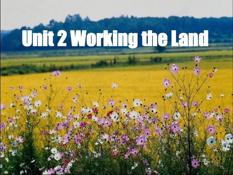 人教版高中英语Book-4-Unit-2-Working-on-the-land-reading-教课件.ppt--（课件中不含音视频）_第1页