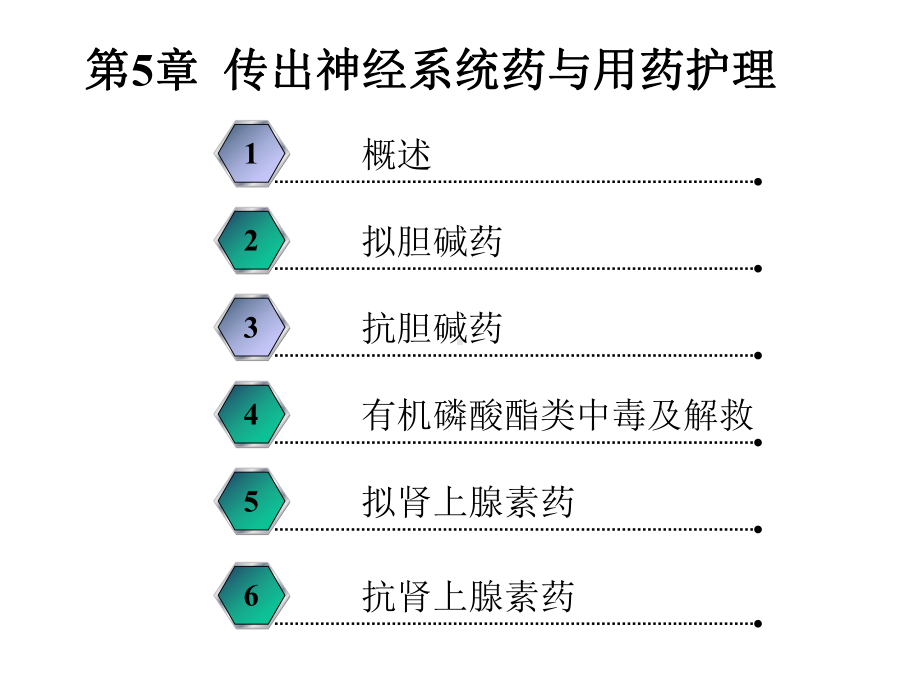 中职药物学基础第二版课件第5-6章.ppt_第2页