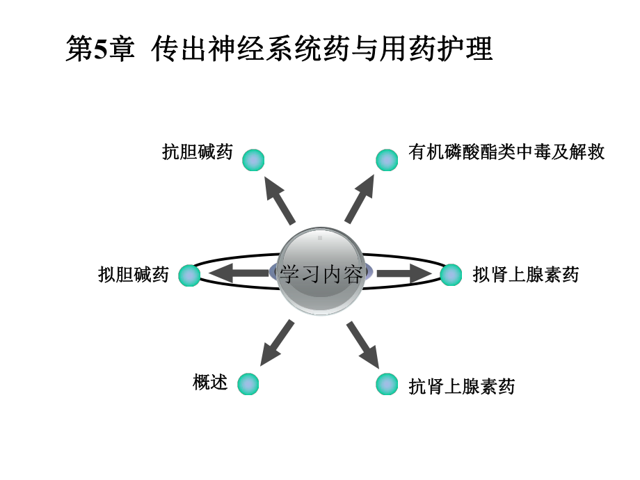 中职药物学基础第二版课件第5-6章.ppt_第3页