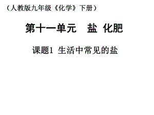 九年级化学下册第十一单元盐化肥课题1生活中常见的盐课件.ppt