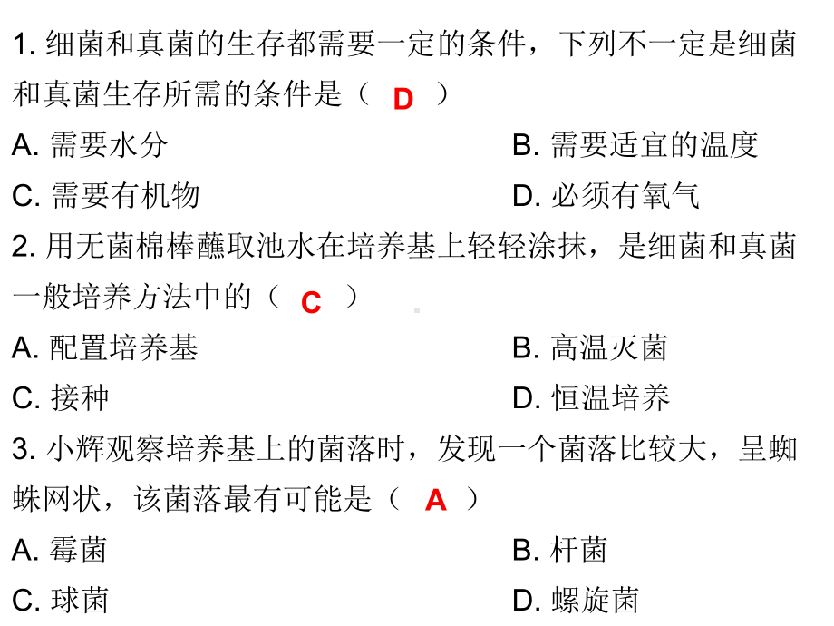 中考生物总复习专题十细菌、真菌和病毒课件.ppt_第2页