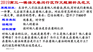 2020高三一模语文卷闵行作文题“在意他人的看法……”解析及范文课件.pptx