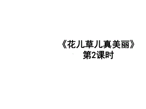 人教版小学一年级下册道德与法治《花儿草儿真美丽(第2课时)》课件.ppt