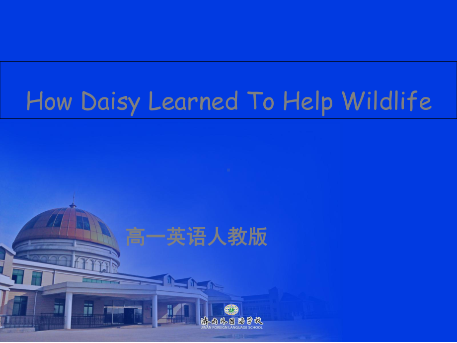 人教版高一英语必修二《Unit-4-How-Daisy-learned-to-help-wildlife》课件设计.ppt--（课件中不含音视频）_第1页