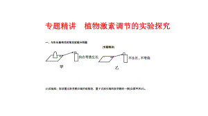 人教版高考生物复习专题精讲《植物激素调节的实验探究》课件(共36张).pptx