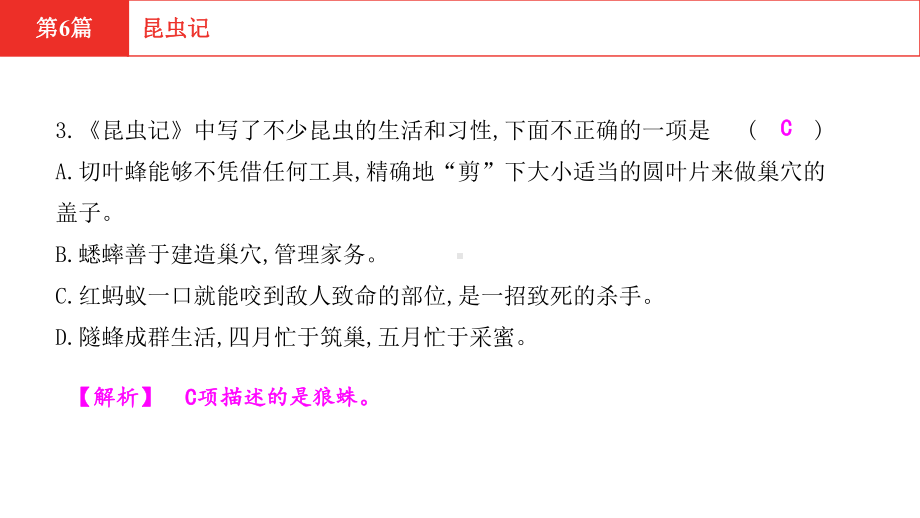 2021年中考语文复习-名著加练-第6篇-昆虫记课件.pptx_第3页