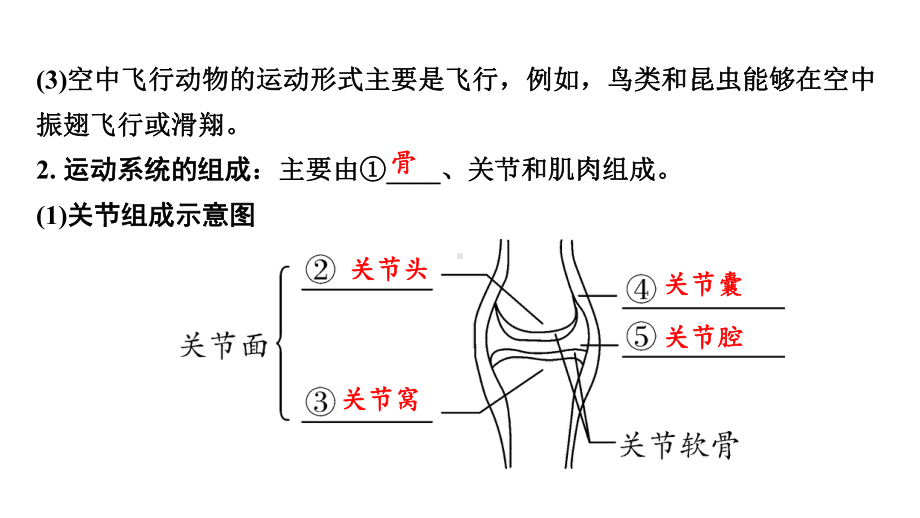 中考生物总复习课件-.ppt_第3页