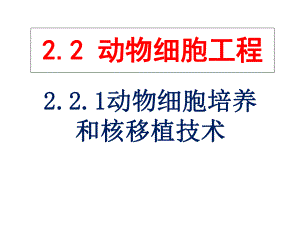 人教版高中生物选修3专题二动物细胞培养和核移植技术(课件-共18张).ppt