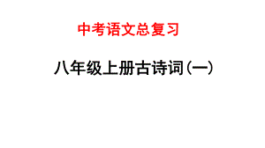 中考语文总复习专题一-古诗词课件.pptx