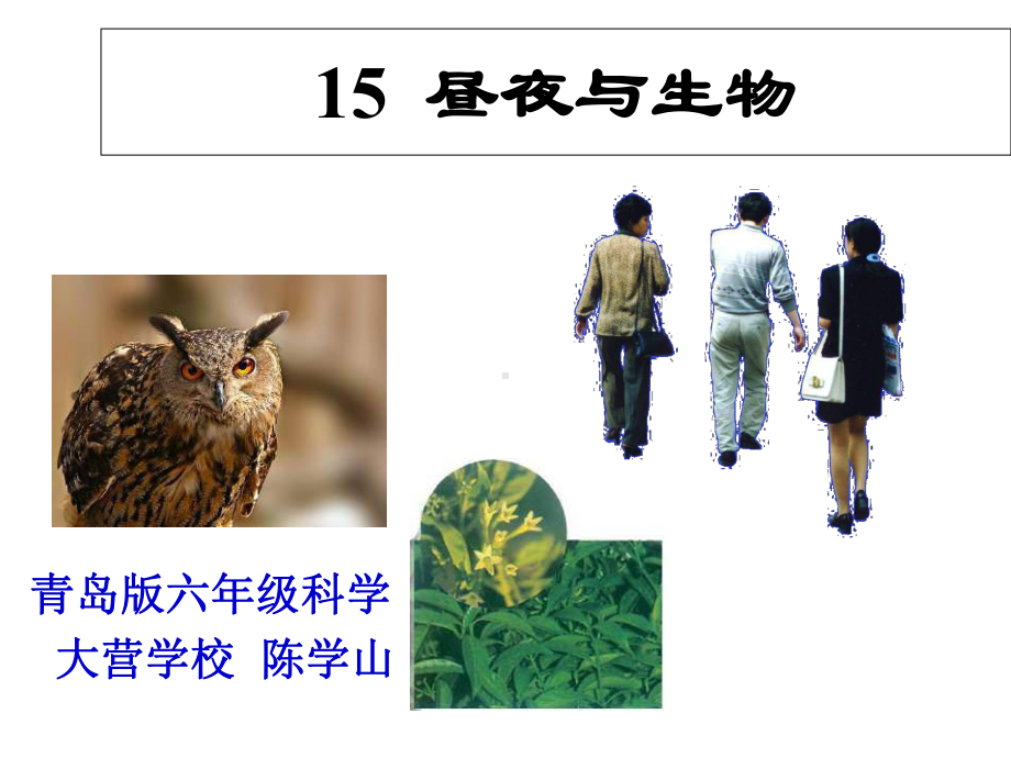 六年级科学上册-第4单元-15-昼夜与生物课件6-青岛版.ppt_第1页