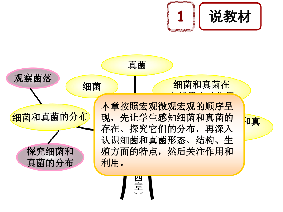 人教版八年级上册细菌和真菌的分布说课课件.pptx_第3页