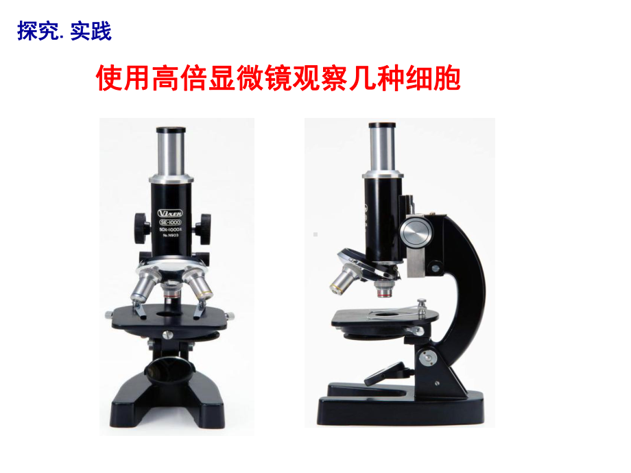 人教版新教材《细胞的多样性和统一性》优质课件1.ppt_第3页