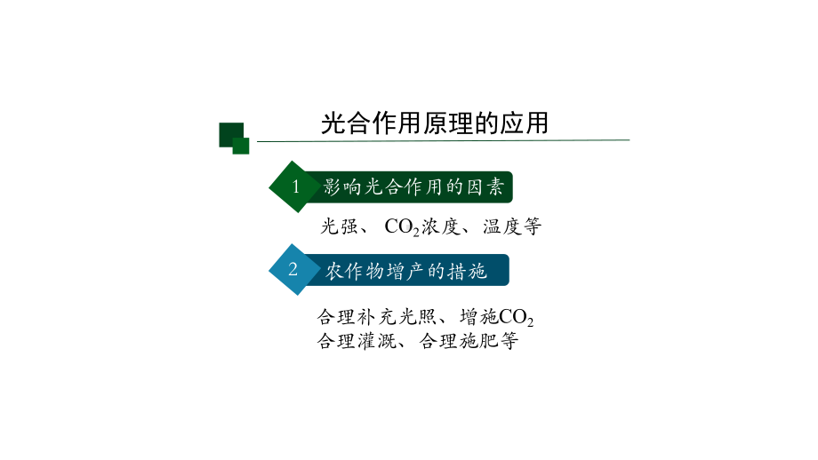 人教版高一生物必修1-第4节-光合作用与能量转化(第四课时)-课件.pptx_第2页