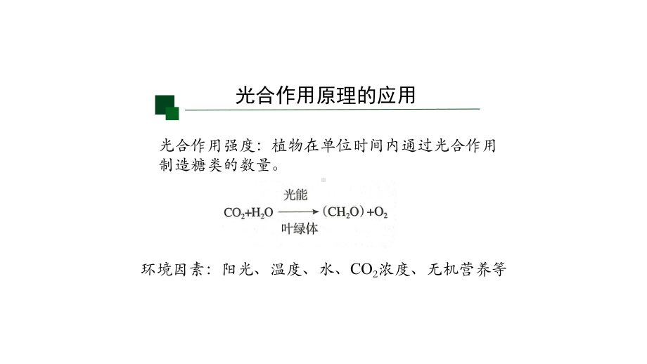 人教版高一生物必修1-第4节-光合作用与能量转化(第四课时)-课件.pptx_第3页