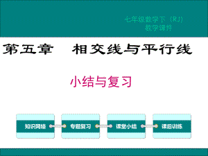 人教版七年级数学下册期末复习课件全套.ppt