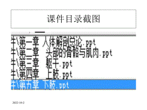 人体解剖课件全套课件.ppt