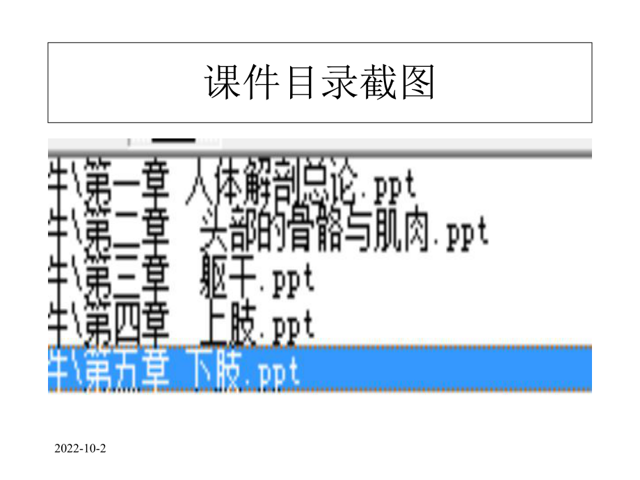 人体解剖课件全套课件.ppt_第1页